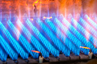 Coldbrook gas fired boilers